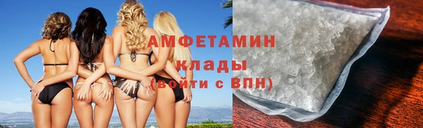 прущие грибы Пенза