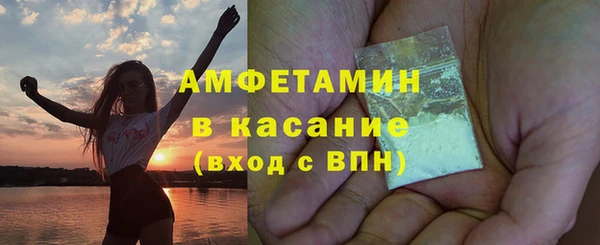 прущие грибы Пенза
