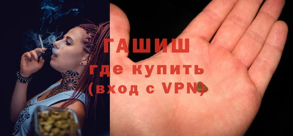 прущие грибы Пенза