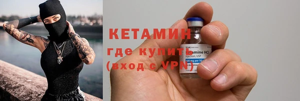 прущие грибы Пенза