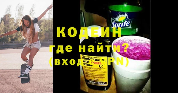 прущие грибы Пенза
